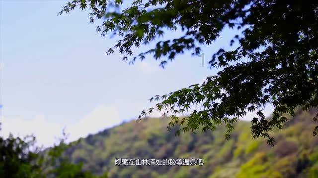 做梦梦见小哥哥是什么意思?- 热门的机智问答网页
